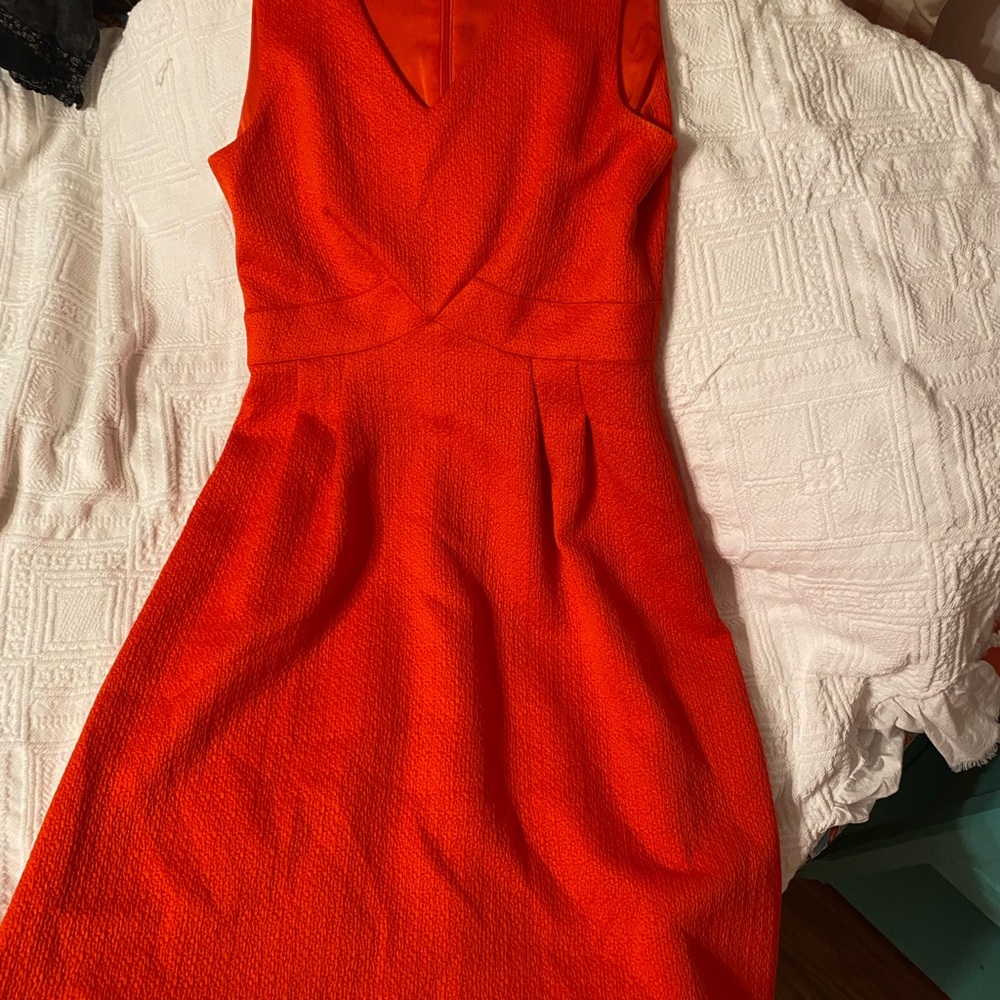 Daniel Cremieux Vibrant Orange Backless Dress